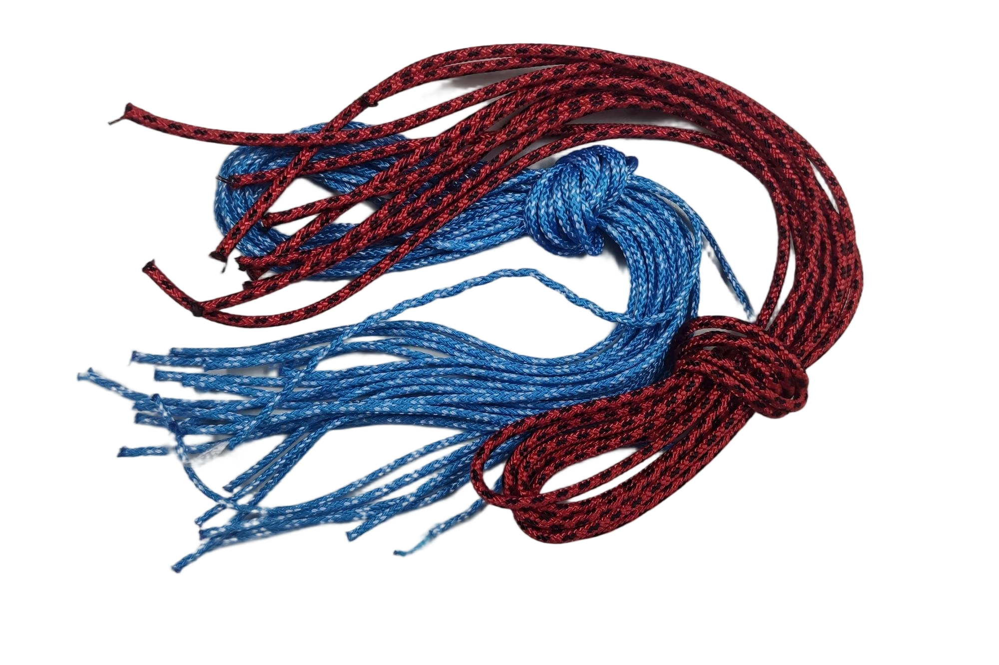 Case conveyor system