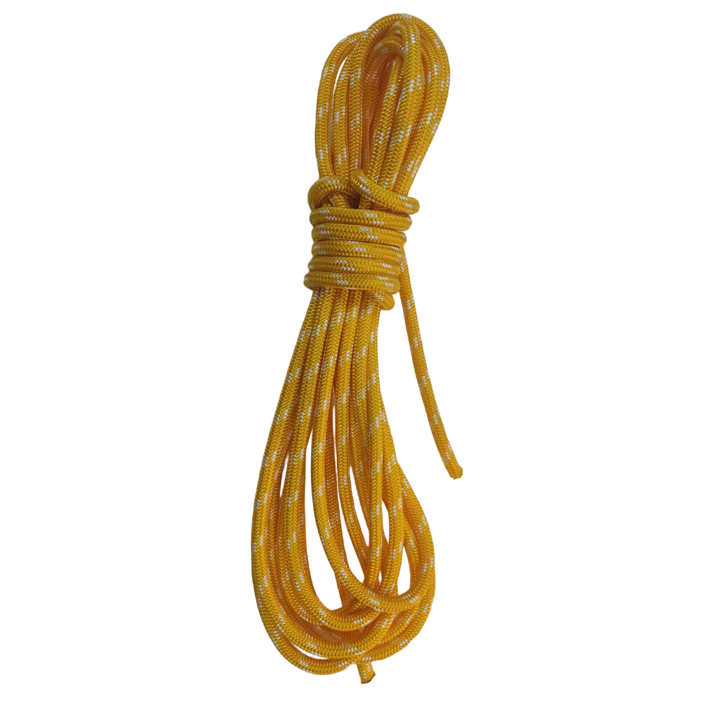 Case conveyor system