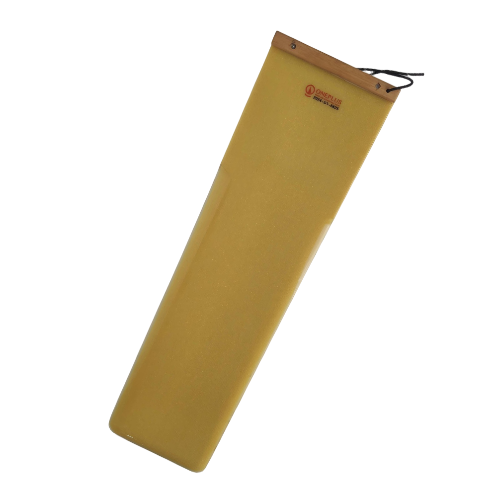 Case conveyor system