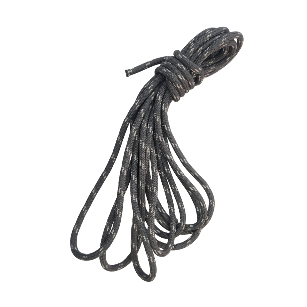 Case conveyor system