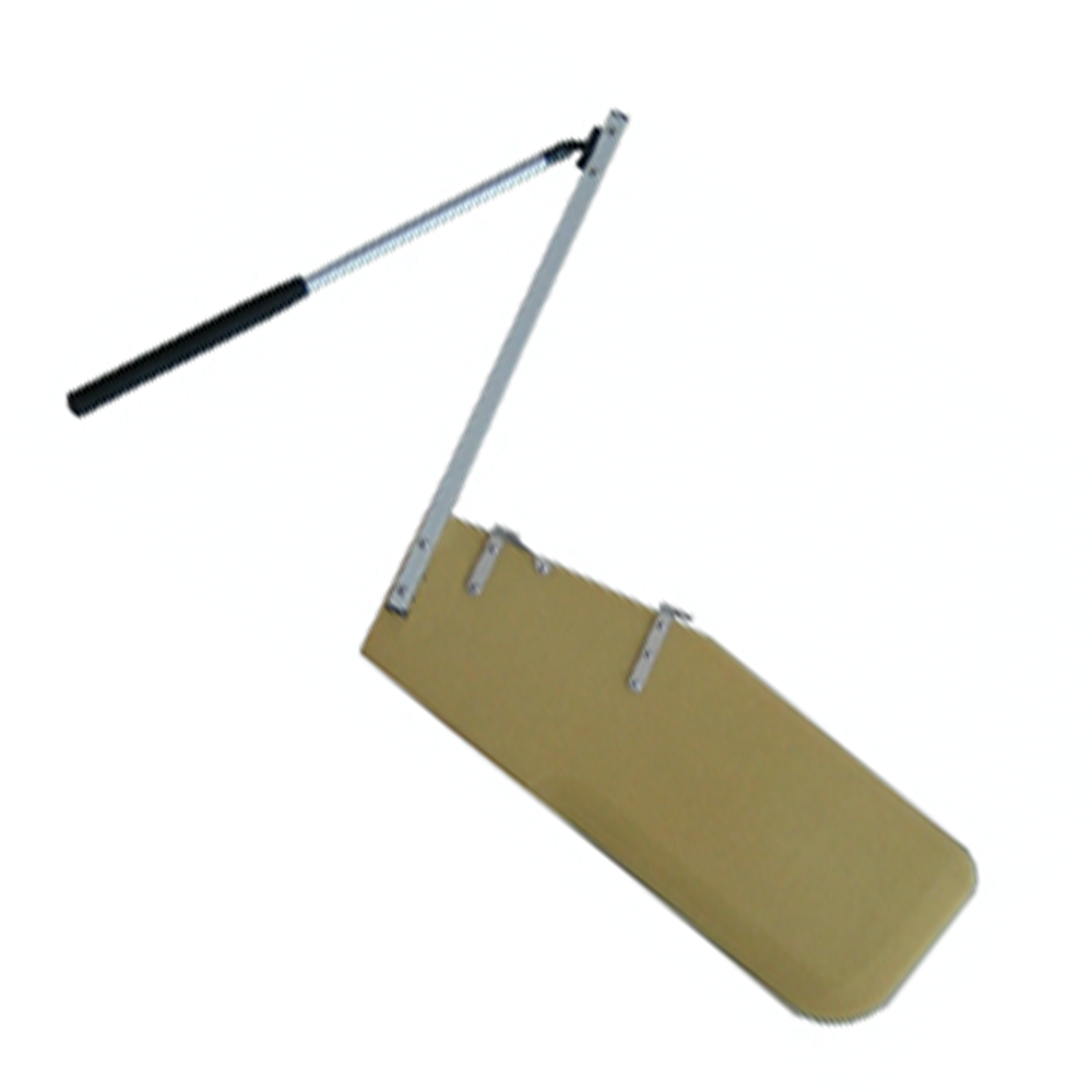 Case conveyor system