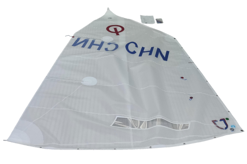 Case conveyor system