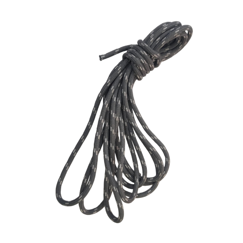 Case conveyor system