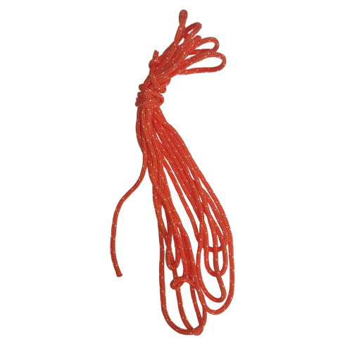 Case conveyor system