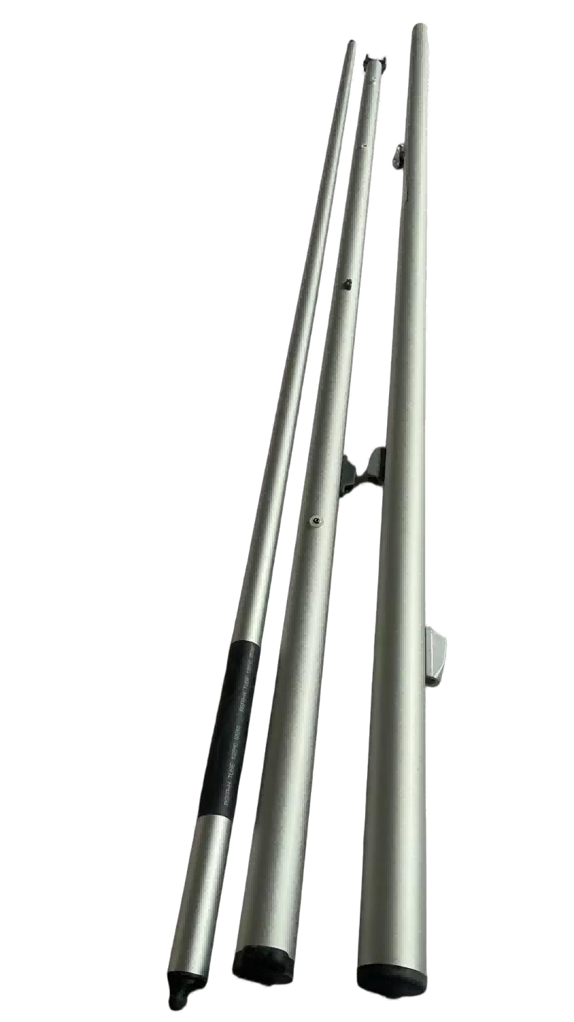 Case conveyor system