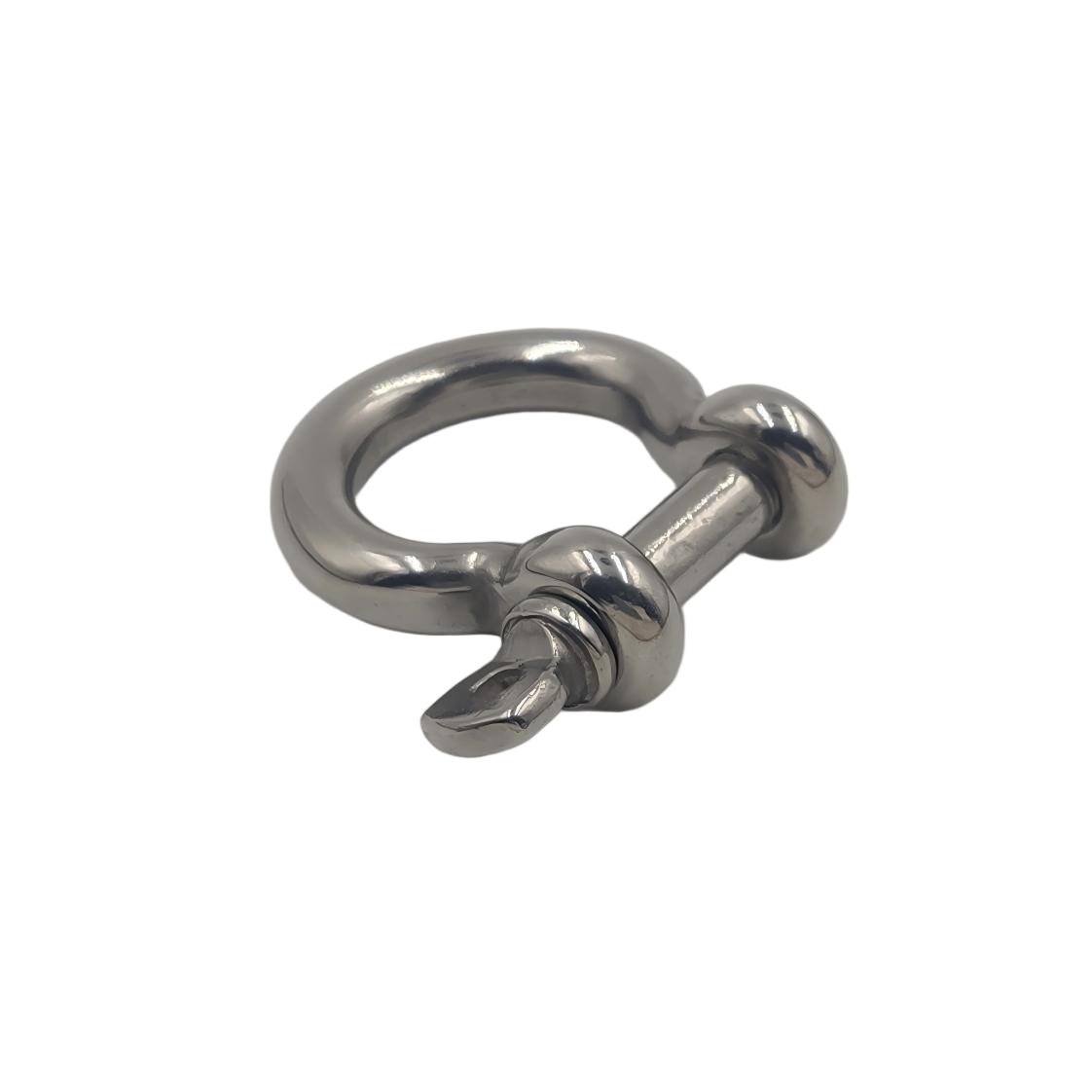 Case conveyor system